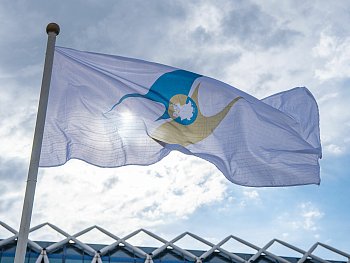 Флаг сетка 20*30 см